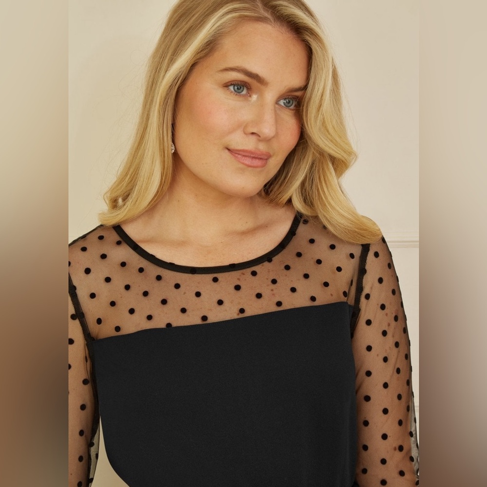 H&M Sheer Polka Dot Top